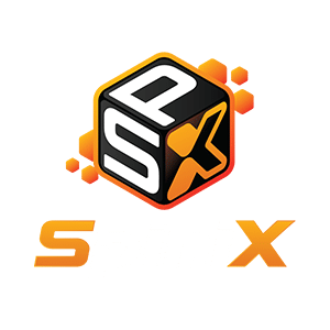 spinic